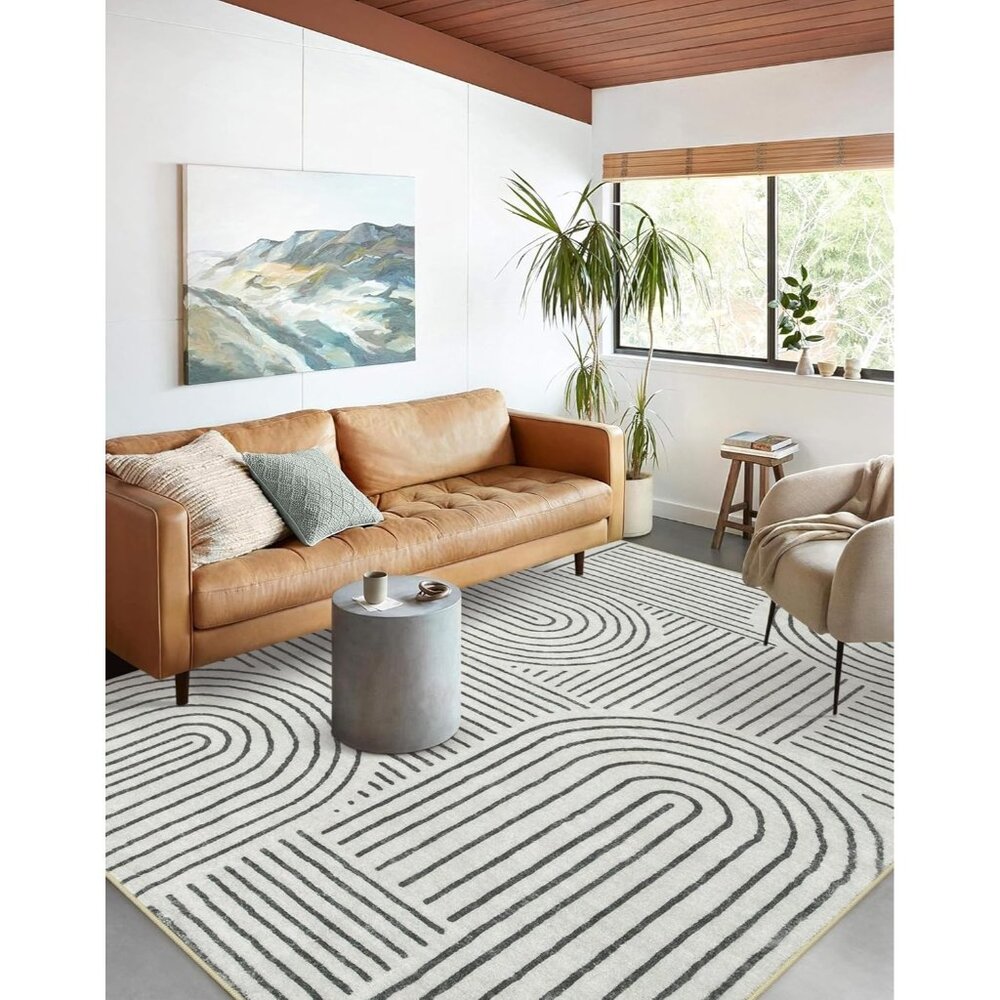New 5x7 Black & White Abstract Rug, Washable Non-Slip Modern Carpet for Home